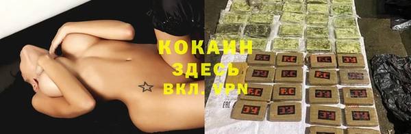 apvp Семилуки