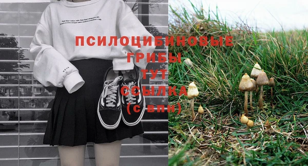 стафф Семёнов