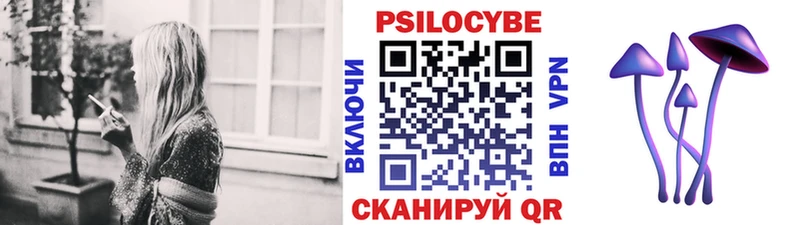 Псилоцибиновые грибы Psilocybine cubensis  Сосновоборск 
