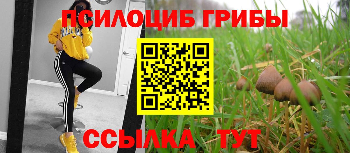 Псилоцибиновые грибы мицелий  Вход с VPN  Псилоцибиновые грибы Cubensis  Сосновоборск 