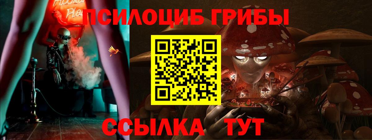 Псилоцибиновые грибы Psilocybine cubensis  Псилоцибиновые грибы ЛСД  Сосновоборск 