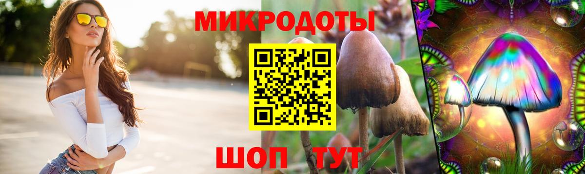 Галлюциногенные грибы Psilocybe Сосновоборск